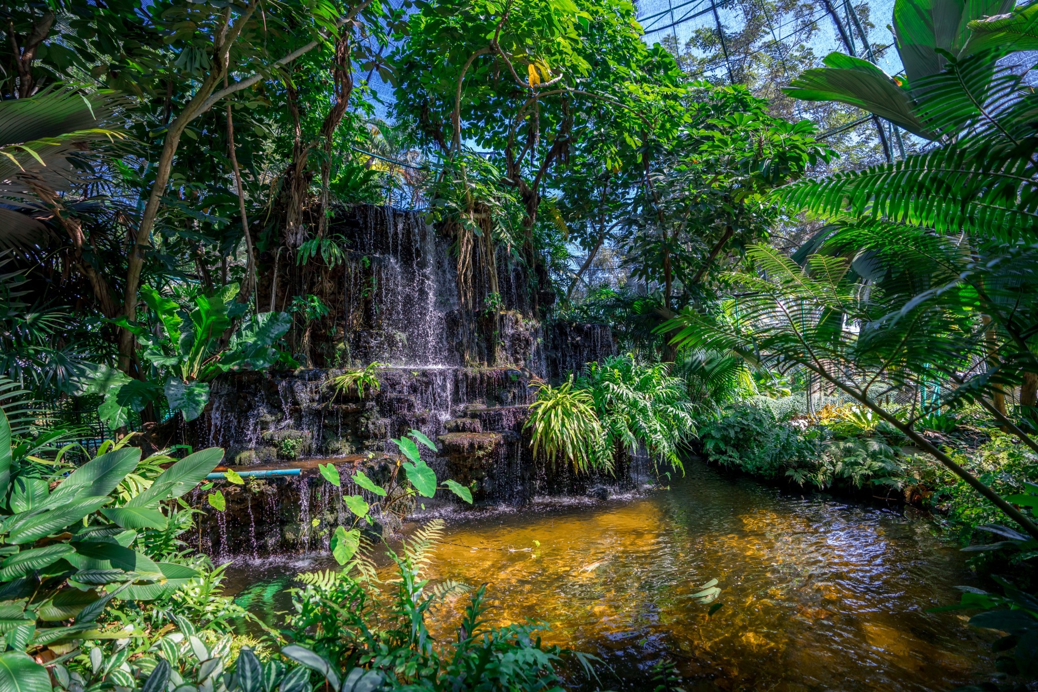 Lush waterfall inside the garden